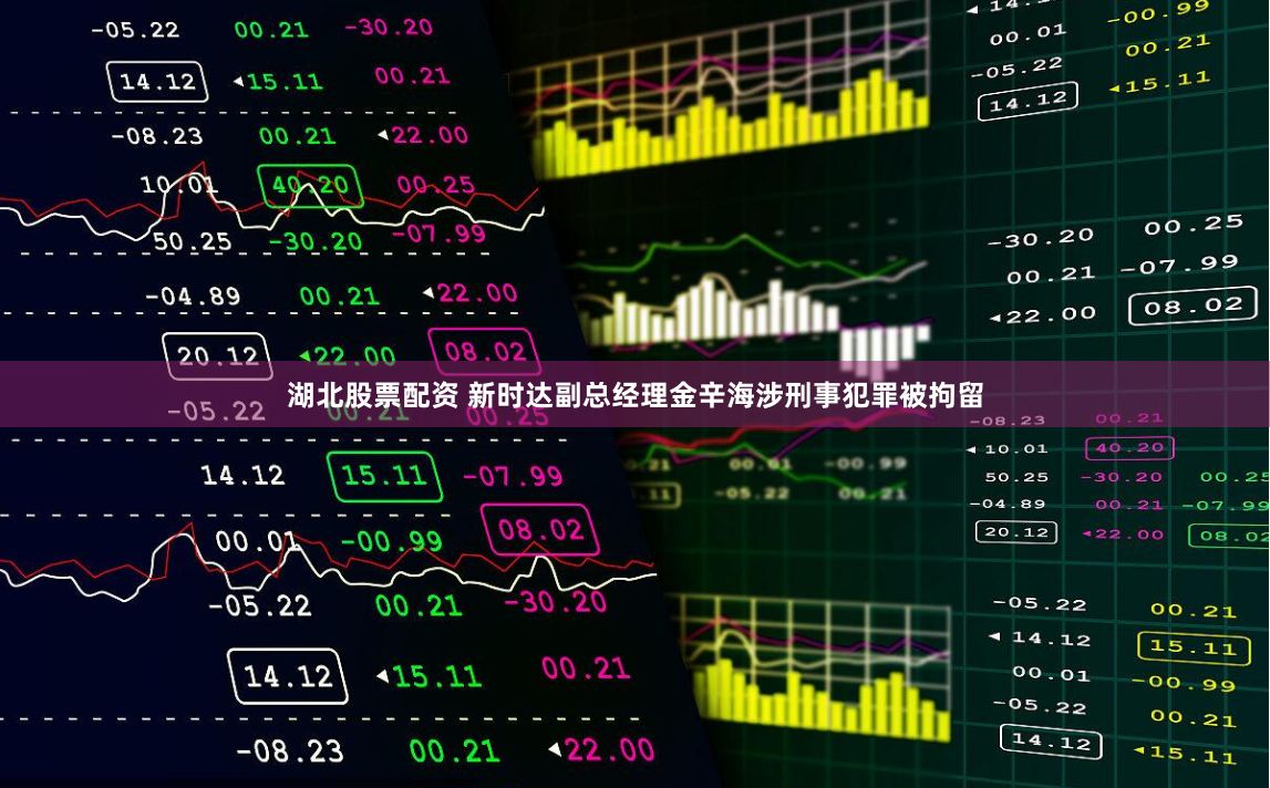 湖北股票配资 新时达副总经理金辛海涉刑事犯罪被拘留