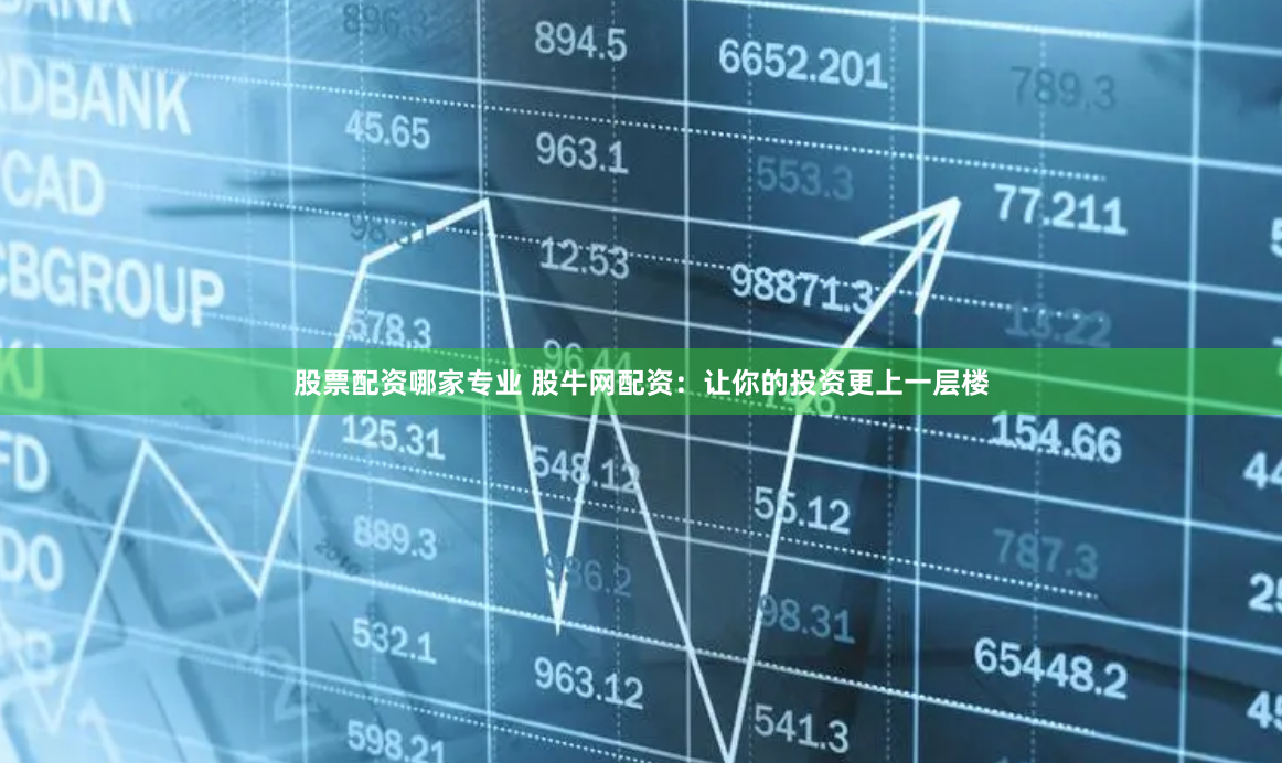 股票配资哪家专业 股牛网配资：让你的投资更上一层楼