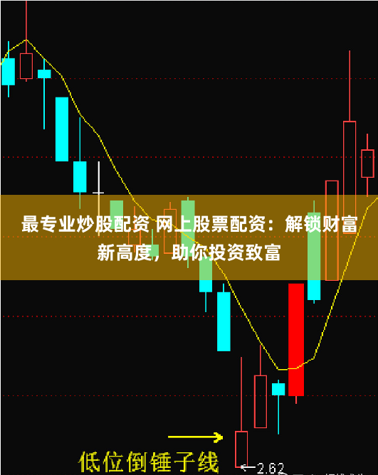 最专业炒股配资 网上股票配资：解锁财富新高度，助你投资致富