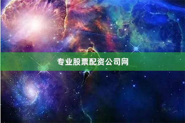 专业股票配资公司网