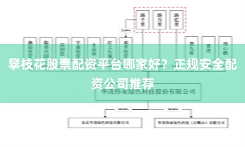 攀枝花股票配资平台哪家好？正规安全配资公司推荐